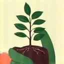 日本の在来植物ワークショップ